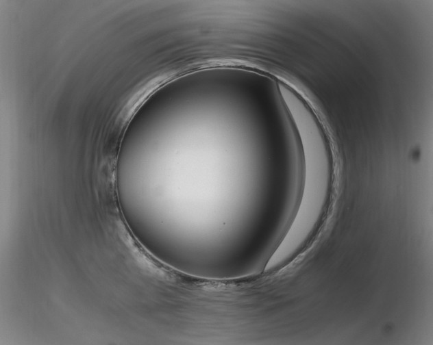 X0000116820809200912181407