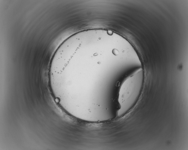 X0000116820810200912181407