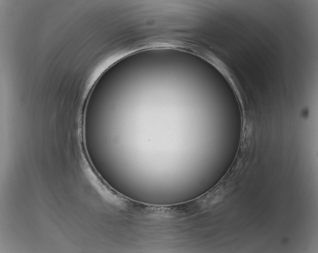 X0000116820811200912181407