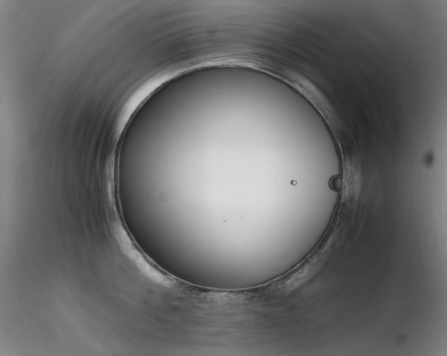 X0000116820812200912181407