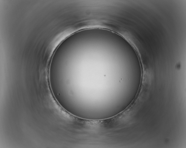 X0000116820813200912181407