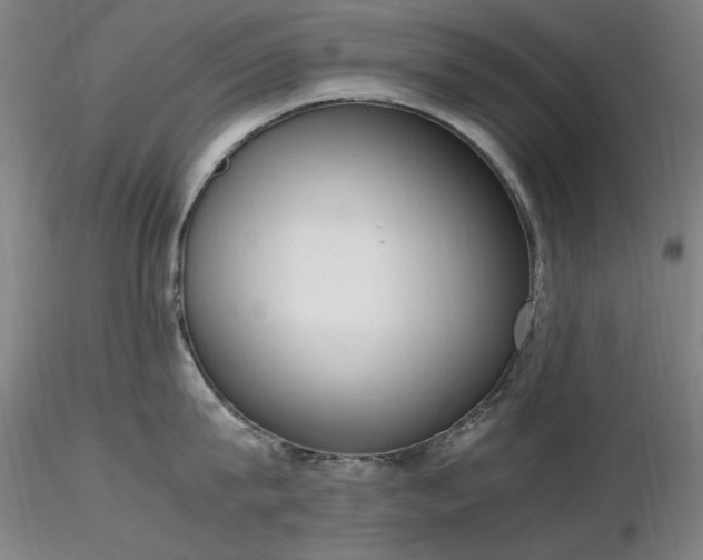 X0000116820815200912181407