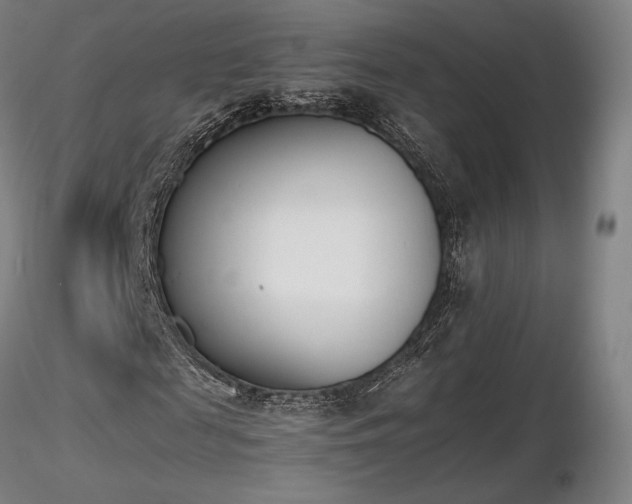 X0000116820817200912181406