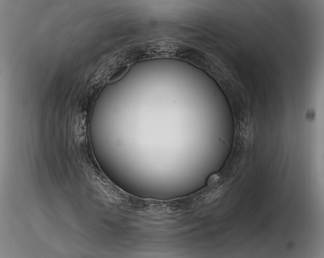 X0000116820818200912181406