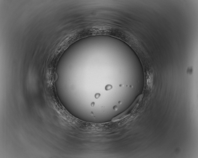 X0000116820819200912181406
