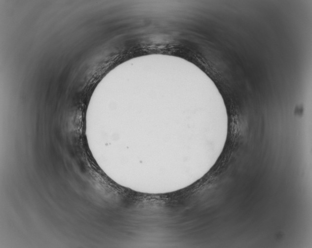 X0000116820820200912181406