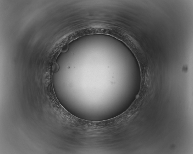 X0000116820821200912181406