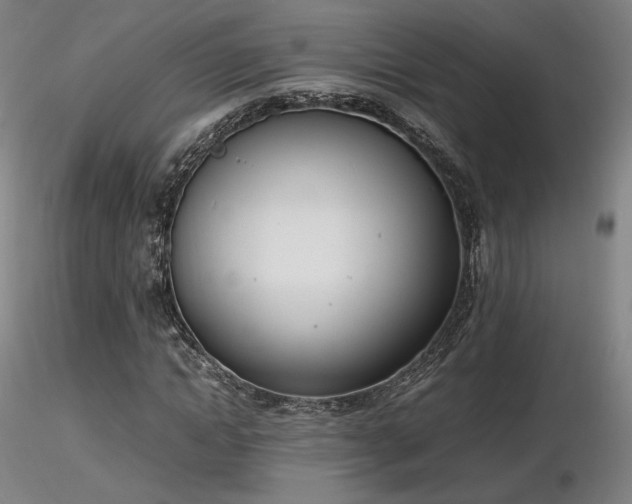 X0000116820822200912181406