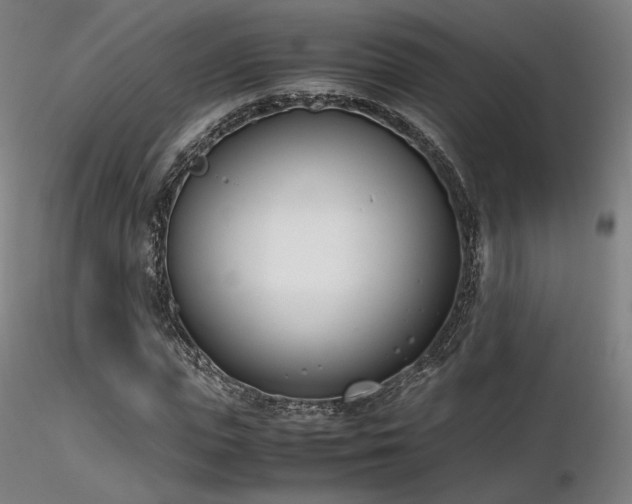 X0000116820823200912181406
