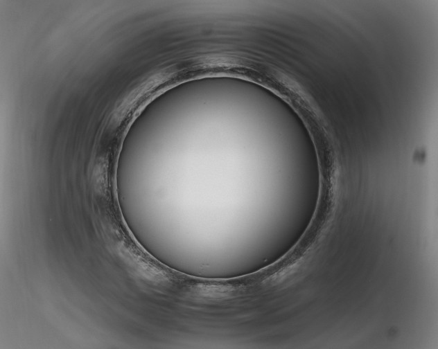 X0000116820825200912181406