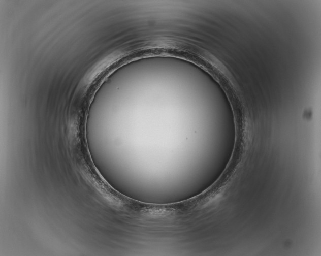 X0000116820826200912181406