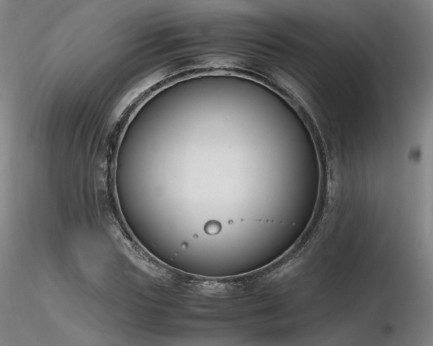 X0000116820827200912181406