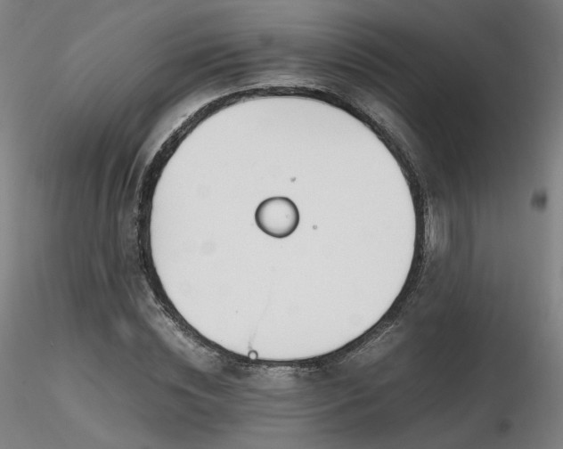 X0000116820828200912181406