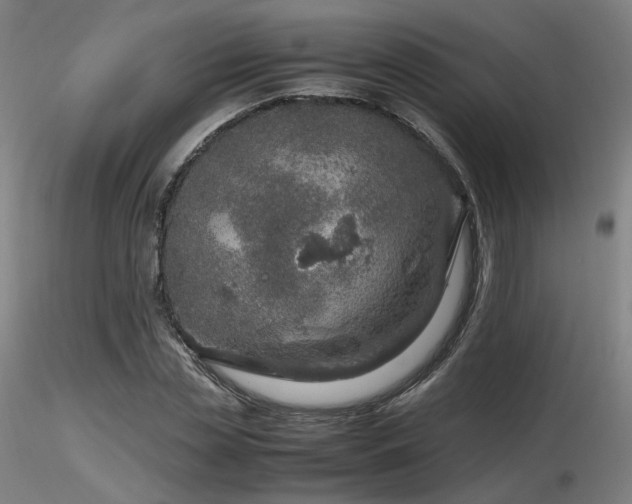X0000116820829200912181406