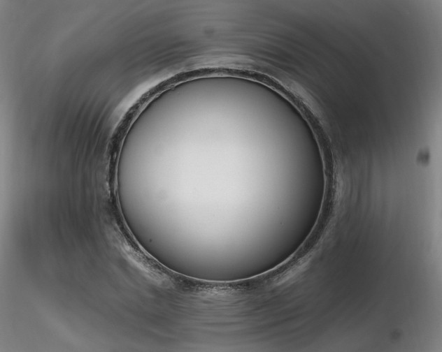 X0000116820830200912181406