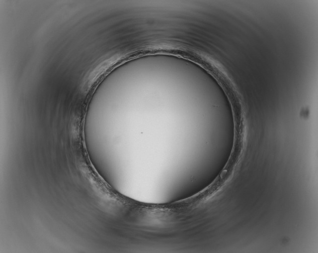 X0000116820833200912181406