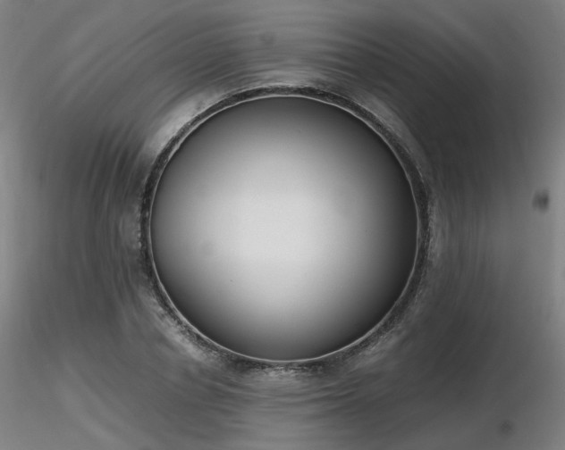 X0000116820834200912181406