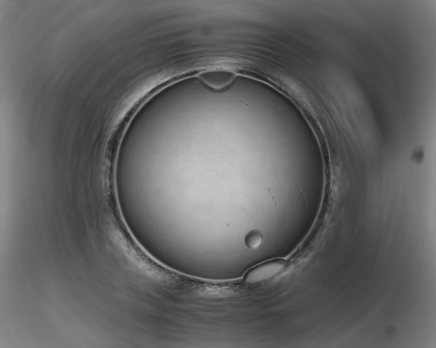 X0000116820835200912181406
