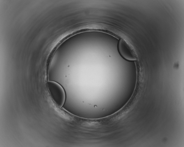 X0000116820837200912181406