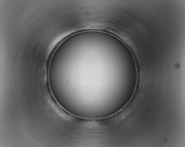 X0000116820838200912181406