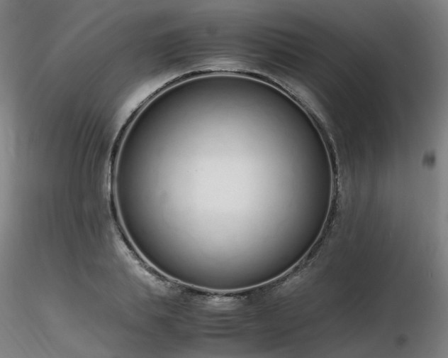 X0000116820839200912181406