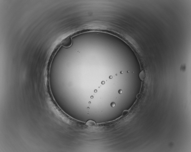X0000116820840200912181406