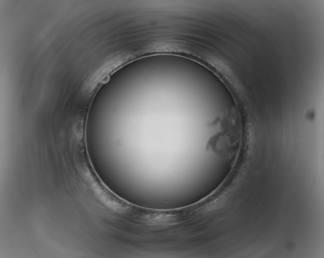 X0000116820841200912181406