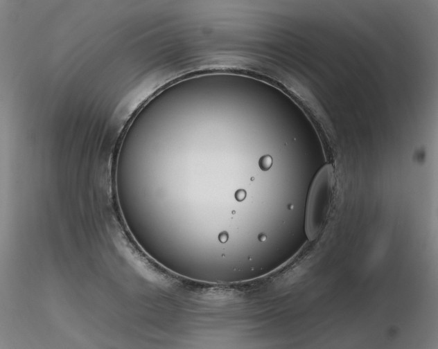 X0000116820842200912181406