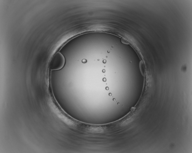 X0000116820843200912181406
