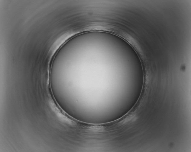 X0000116820844200912181406