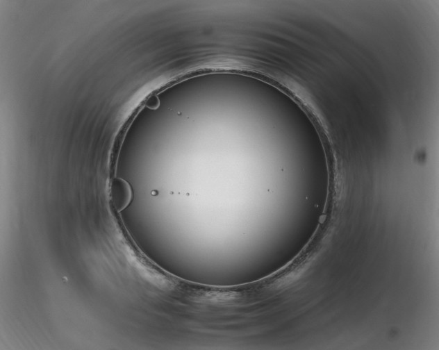 X0000116820845200912181406