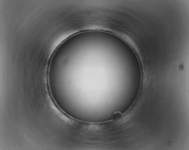 X0000116820847200912181406