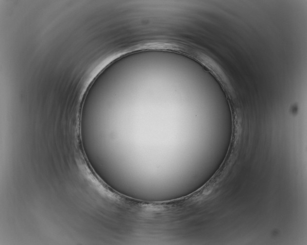 X0000116820852200912181406