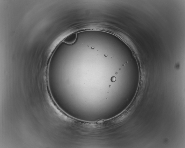 X0000116820855200912181406