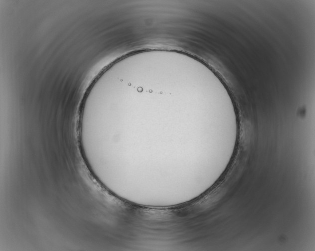 X0000116820856200912181406
