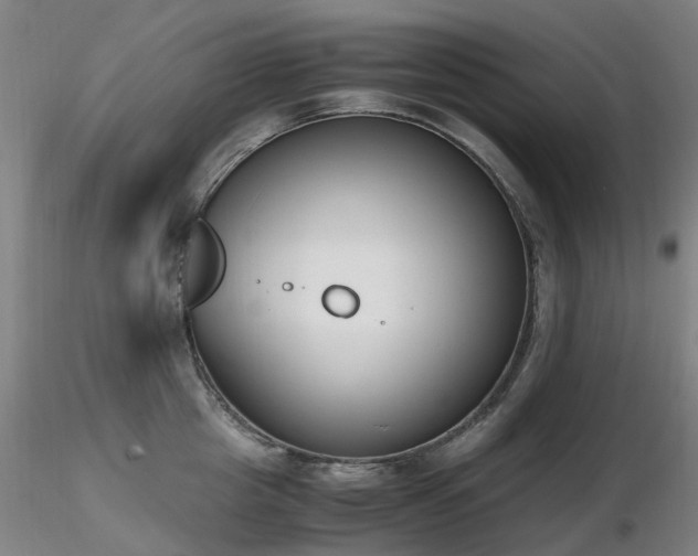 X0000116820857200912181406