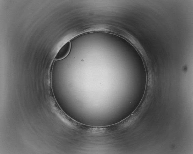X0000116820858200912181406