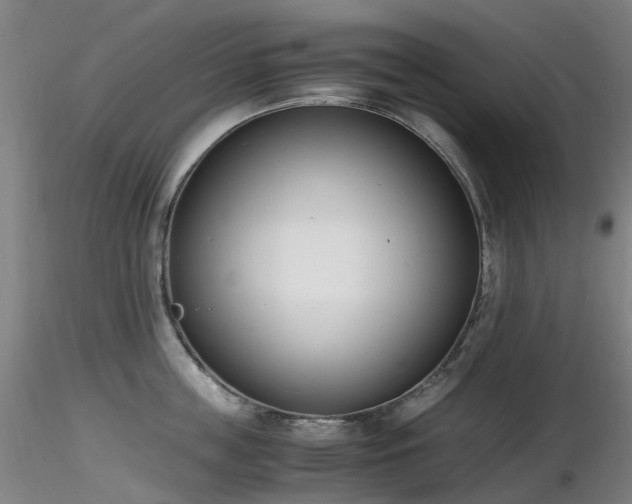 X0000116820859200912181406