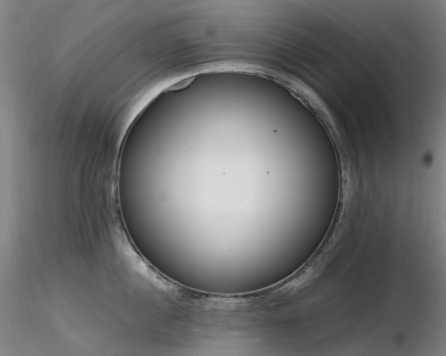 X0000116820860200912181406