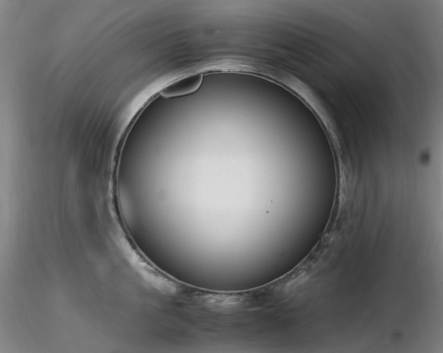 X0000116820861200912181406