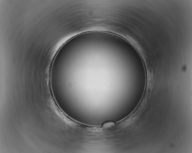 X0000116820862200912181407