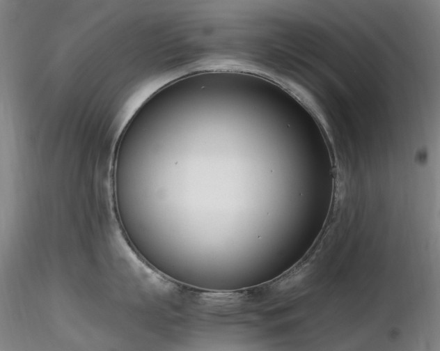 X0000116820863200912181407