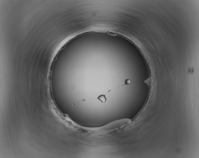 X0000116820864200912181407