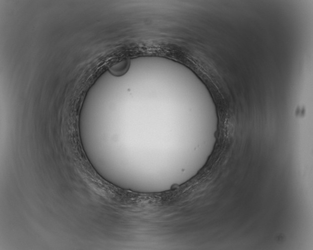 X0000116820865200912181406