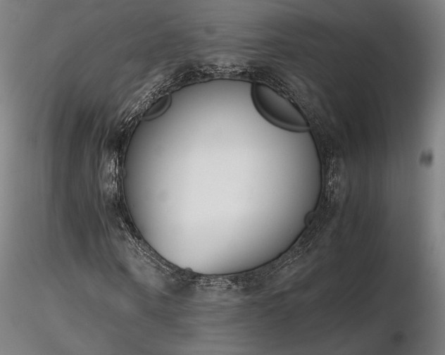 X0000116820866200912181406
