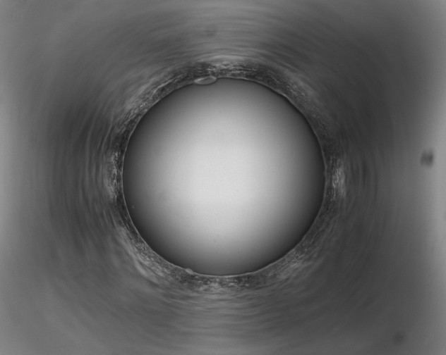 X0000116820868200912181406