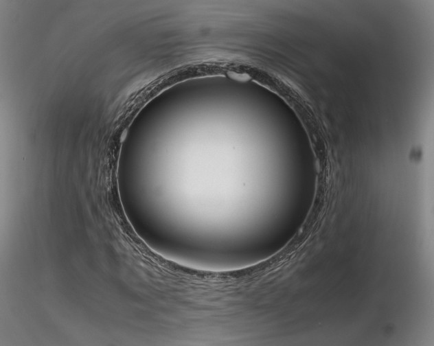 X0000116820869200912181406