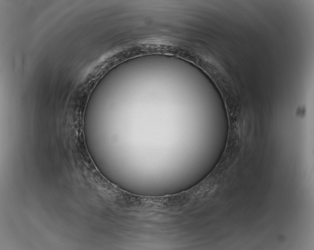X0000116820870200912181406