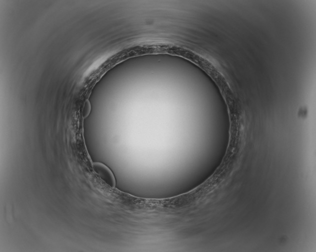 X0000116820871200912181406