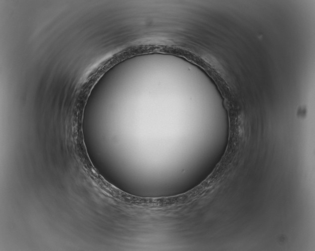 X0000116820872200912181406